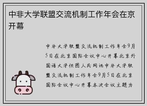中非大学联盟交流机制工作年会在京开幕