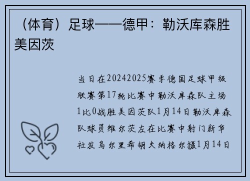 （体育）足球——德甲：勒沃库森胜美因茨